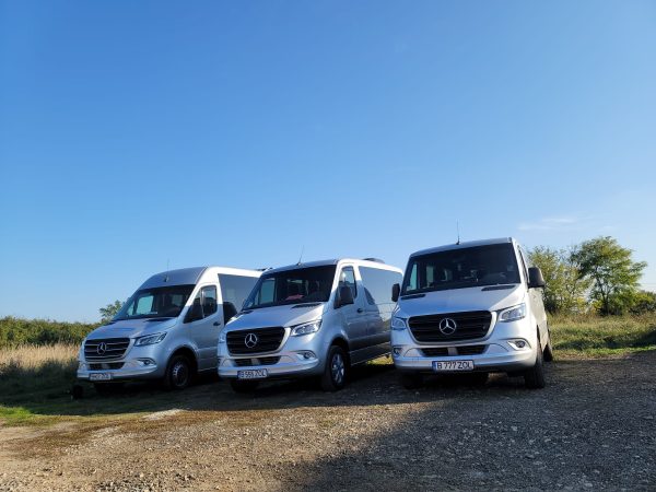 Microbuz Ungaria, Austria, Germania -> Timis (50kg bagaj inclus in pret)